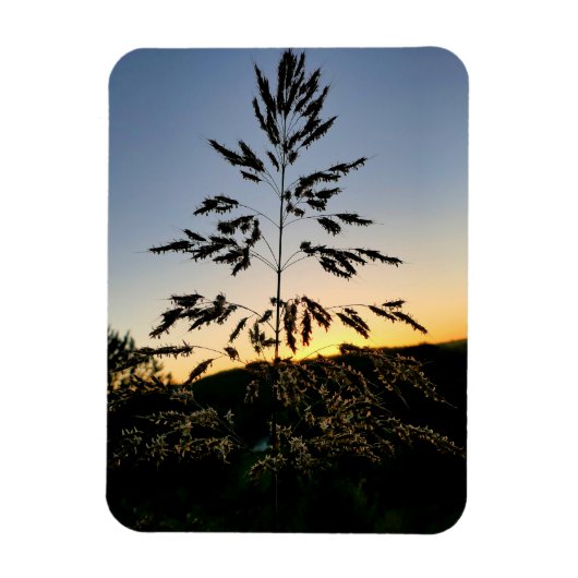 ジョンソングラス マグネット (縦)