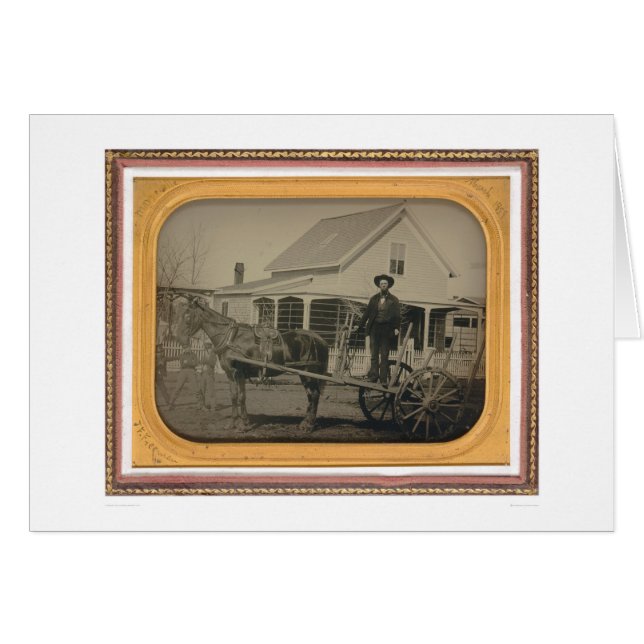 ジョンフランシス島フリーマン(40387) (正面横)