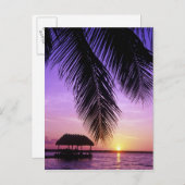 ジョンペンネカンプ州パーク，フロリダ州鍵,鍵 ポストカード (正面/裏面)