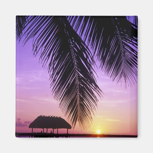 ジョンペンネカンプ州パーク,フロリダ州鍵,鍵 マグネット (正面)