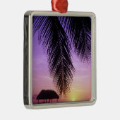 ジョンペンネカンプ州パーク、フロリダ鍵、鍵 メタルオーナメント (右)