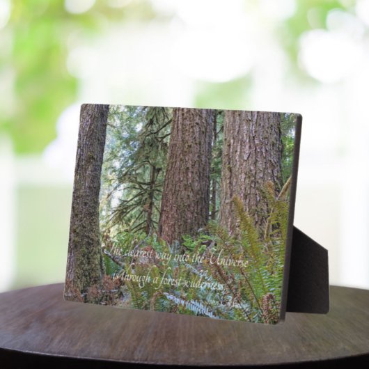 ジョンミュア引用文ジャイアントコンピアーフォレスト フォトプラーク