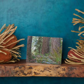 ジョンミュア引用文ジャイアントコンピアーフォレスト フォトプラーク (側面)