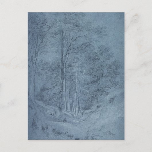 ジョン巡査 |灰その他の木の勉強 ポストカード (正面)