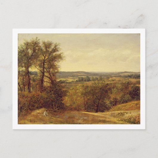 ジョン巡査 | Dedham Vale, c.1802 (canvaの油) ポストカード (正面)