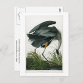 ジョン素晴らし・ジェームズ・オードボン・ブルー・ヘロン ポストカード (正面/裏面)
