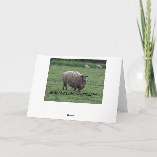 ジョン10:27&28、羊 カード (裏面)