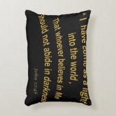 ジョン12私が軽い1030.02として来た46 アクセントクッション (正面(垂直))