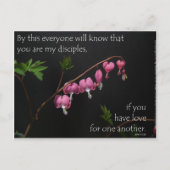 ジョン13時35分 – お互いに愛し合う ポストカード (正面)