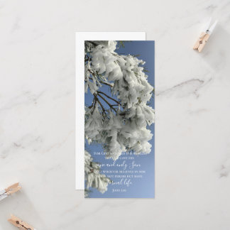 ジョン3:16カスタム文字 | 雪自然オリジナル写真