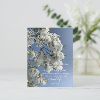 ジョン3:16カスタム文字 | 雪自然オリジナル写真 ポストカード