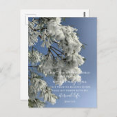 ジョン3:16カスタム文字 | 雪自然オリジナル写真 ポストカード (正面/裏面)