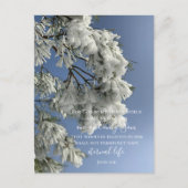 ジョン3:16カスタム文字 | 雪自然オリジナル写真 ポストカード (正面)