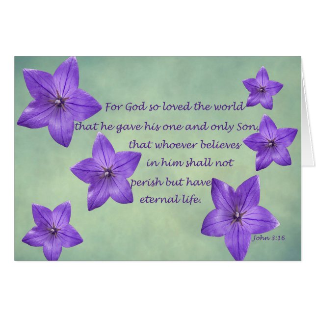 ジョン3:16 (正面横)