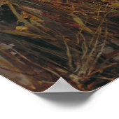 ジョン・ウィリアム・ウォーターハウス – シャロット夫人 ポスター (角)