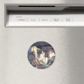 ジョン・ウィリアム・ウォーターハウス – ハイラスとニンフ マグネット (インサイチュ (食洗機))