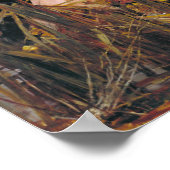 ジョン・ウィリアム・ウォーターハウスThe Lady of Shalott ポスター (角)