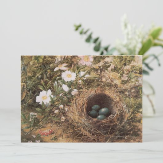 ジョン・ウィリアム・ヒルによる鳥の巣と犬のバラ (スタンド正面)