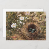 ジョン・ウィリアム・ヒルによる鳥の巣と犬のバラ (正面/裏面)