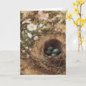ジョン・ウィリアム・ヒルによる鳥の巣と犬のバラ カード (黄色い花)