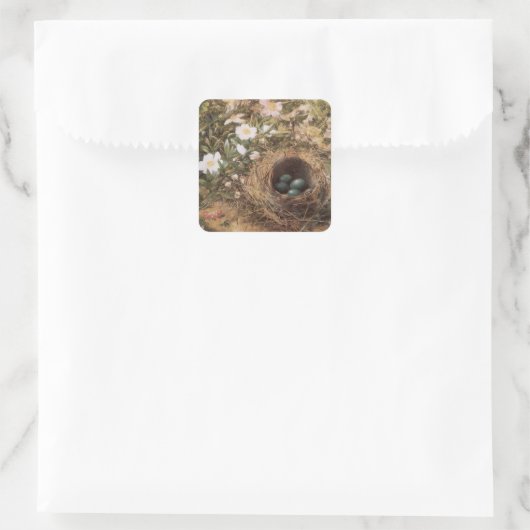 ジョン・ウィリアム・ヒルによる鳥の巣と犬のバラ スクエアシール (バッグ)