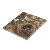 ジョン・ウィリアム・ヒルによる鳥の巣と犬のバラ タイル (側面)