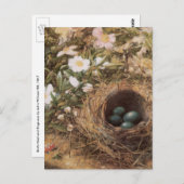 ジョン・ウィリアム・ヒルによる鳥の巣と犬のバラ ポストカード (正面/裏面)
