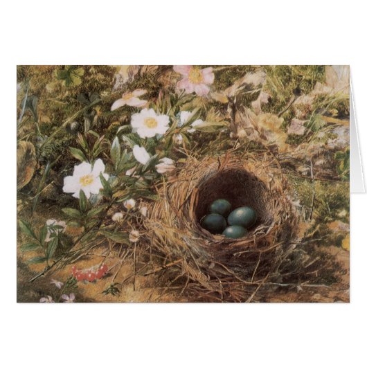 ジョン・ウィリアム・ヒルの『鳥の巣と野ばら』 (正面横)