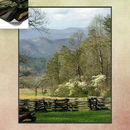 ジョン・オリバー・キャビンでの春 ポスター