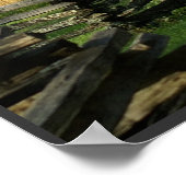 ジョン・オリバー・キャビンでの春 ポスター (角)