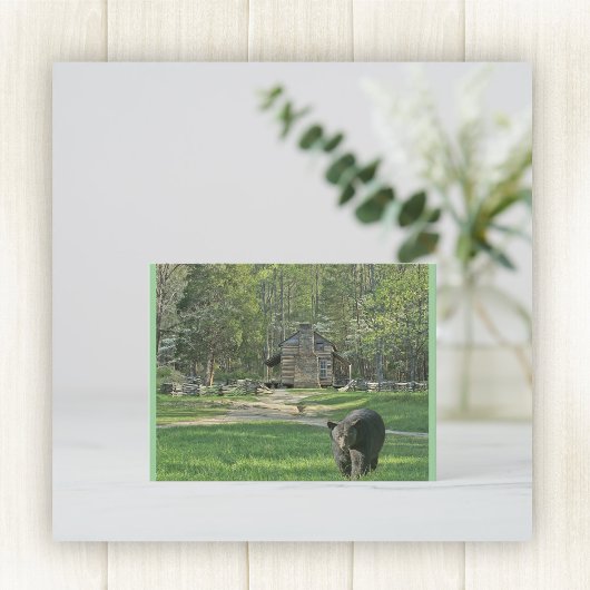 ジョン・オリバー・キャビン ポストカード