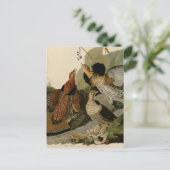 ジョン・オードボンによる手荒いグロース ポストカード (スタンド正面)