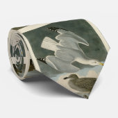 ジョン・オードボンの『アメリカの鳥』からのニシン・カモメ ネクタイ (ロール)