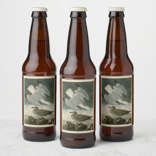 ジョン・オードボンの『アメリカの鳥』からのニシン・カモメ ビールラベル