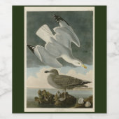 ジョン・オードボンの『アメリカの鳥』からのニシン・カモメ ワインラベル (シングルラベル)