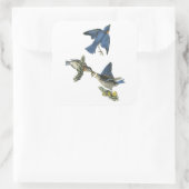 ジョン・オードボン・イースタン・ブルーバード スクエアシール (バッグ)