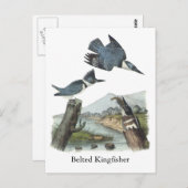 ジョン・オードボン・キングフィッシャーが怒鳴った ポストカード (正面/裏面)