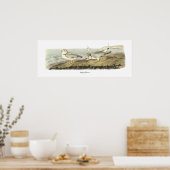 ジョン・オードボン・パイピング・プローバー ポスター (キッチン)