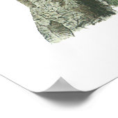 ジョン・オードボン・ブルージェイ ポスター (角)