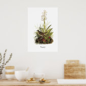 ジョン・オードボン・ベリー ポスター (キッチン)