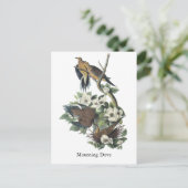 ジョン・オードボン・モーニング・ドーブ ポストカード (スタンド正面)