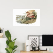 ジョン・オードボン・ローズテスポンビル ポスター (ホームオフィス)