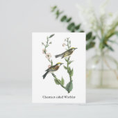 ジョン・オードボン、栗の側のイラクサ ポストカード (スタンド正面)