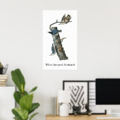 ジョン・オードボン、白い胸のヌサッチ ポスター (ホームオフィス)