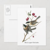 ジョン・オードボン、黒いキャップの《鳥》アメリカゴガラ ポストカード (正面/裏面)