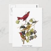 ジョン・オードュボンによるアメリカトウショウジョウ ポストカード (正面/裏面)