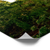 ジョン・クインシー・アダムス。君はもし人のインスパイア行動だ。 ポスター (角)