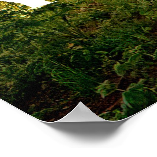 ジョン・クインシー・アダムス。君はもし人のインスパイア行動だ。 ポスター (角)