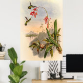 ジョン・グールドによるハミングバード ポスター (ホームオフィス)