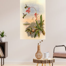 ジョン・グールドによるハミングバード ポスター